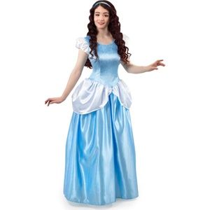 Costume Cinderella dress